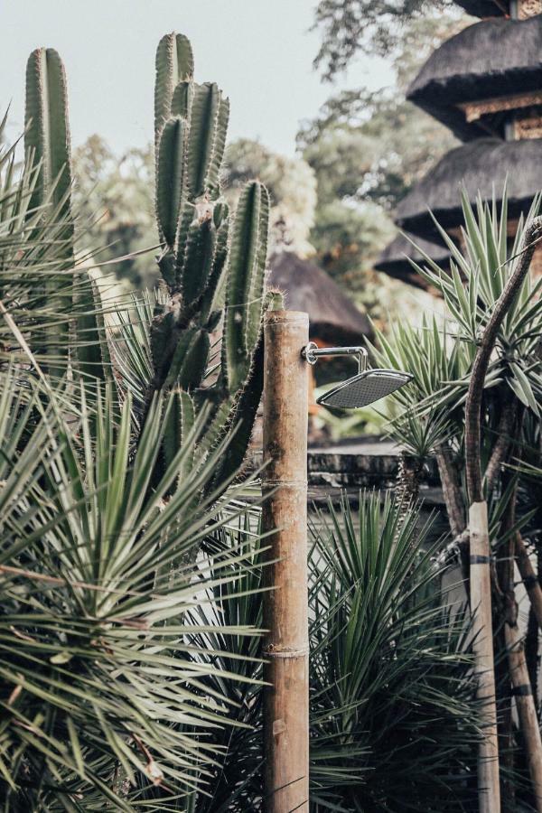 The Seseh House Villa Canggu Esterno foto